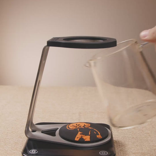 stand for hario switch dripper