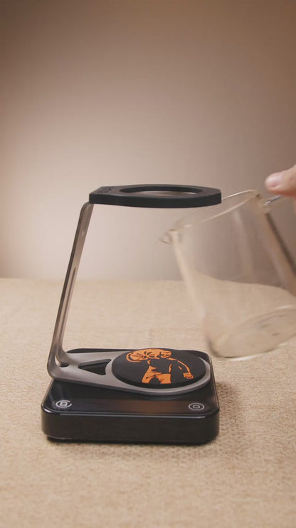 stand for hario switch dripper